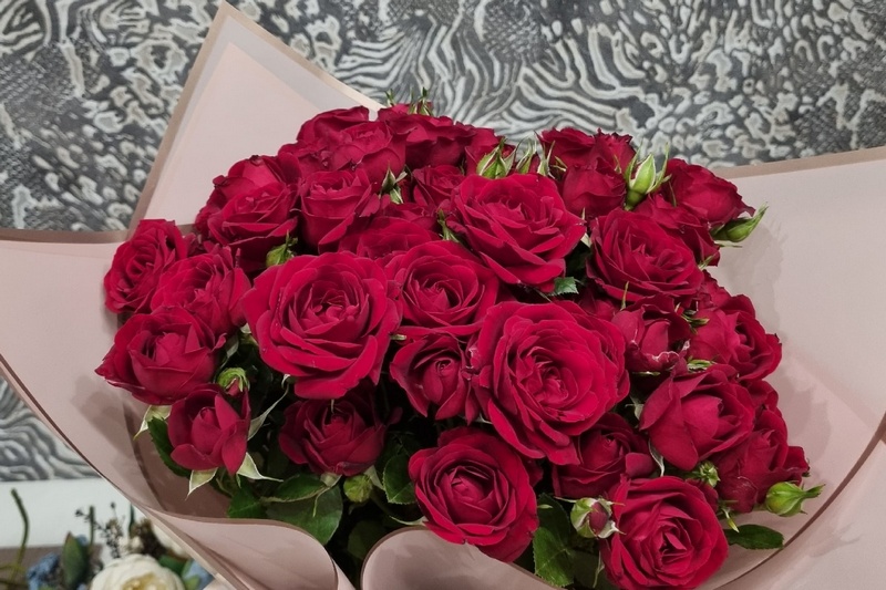 Губернатор поздравил брянского ветеринара с получением госнаграды