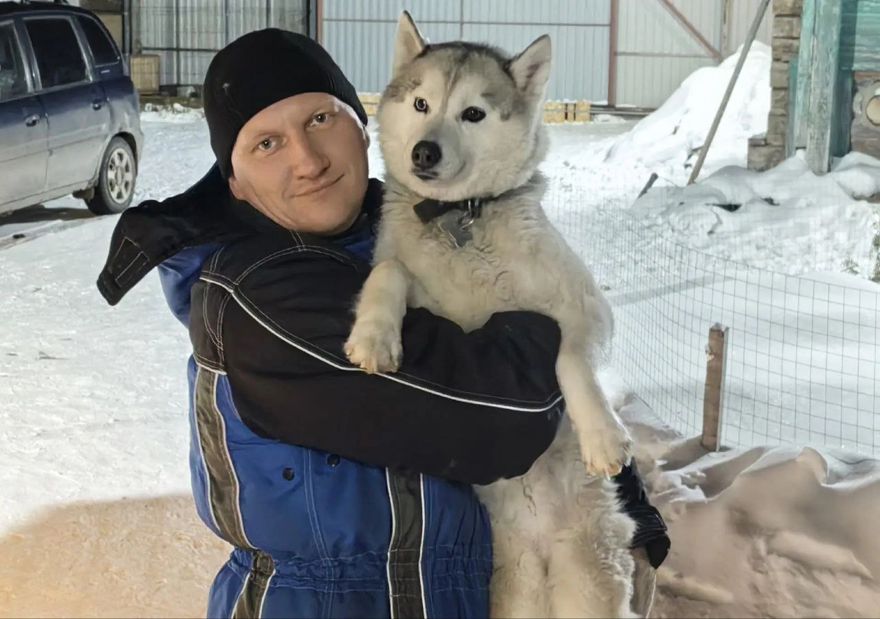 В приюте Брянска обрели новый дом 553 собаки