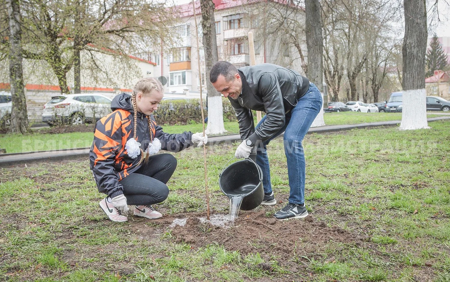 Брянский «Сад памяти» пополнился полутора десятками Кленовых деревьев