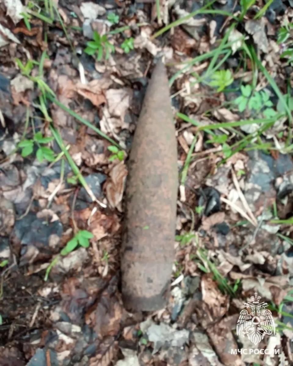 На Брянщине дважды провели обезвреживание «подарков» эпохи ВОВ