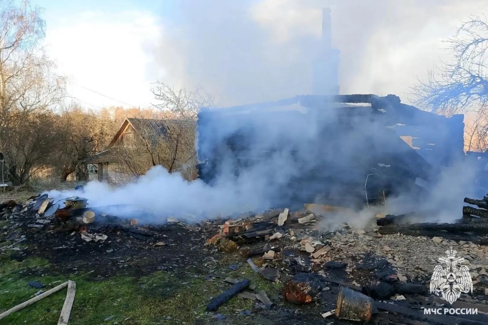 Минус 2 дома: МЧС рассказало о последствиях возгораний под Жуковкой