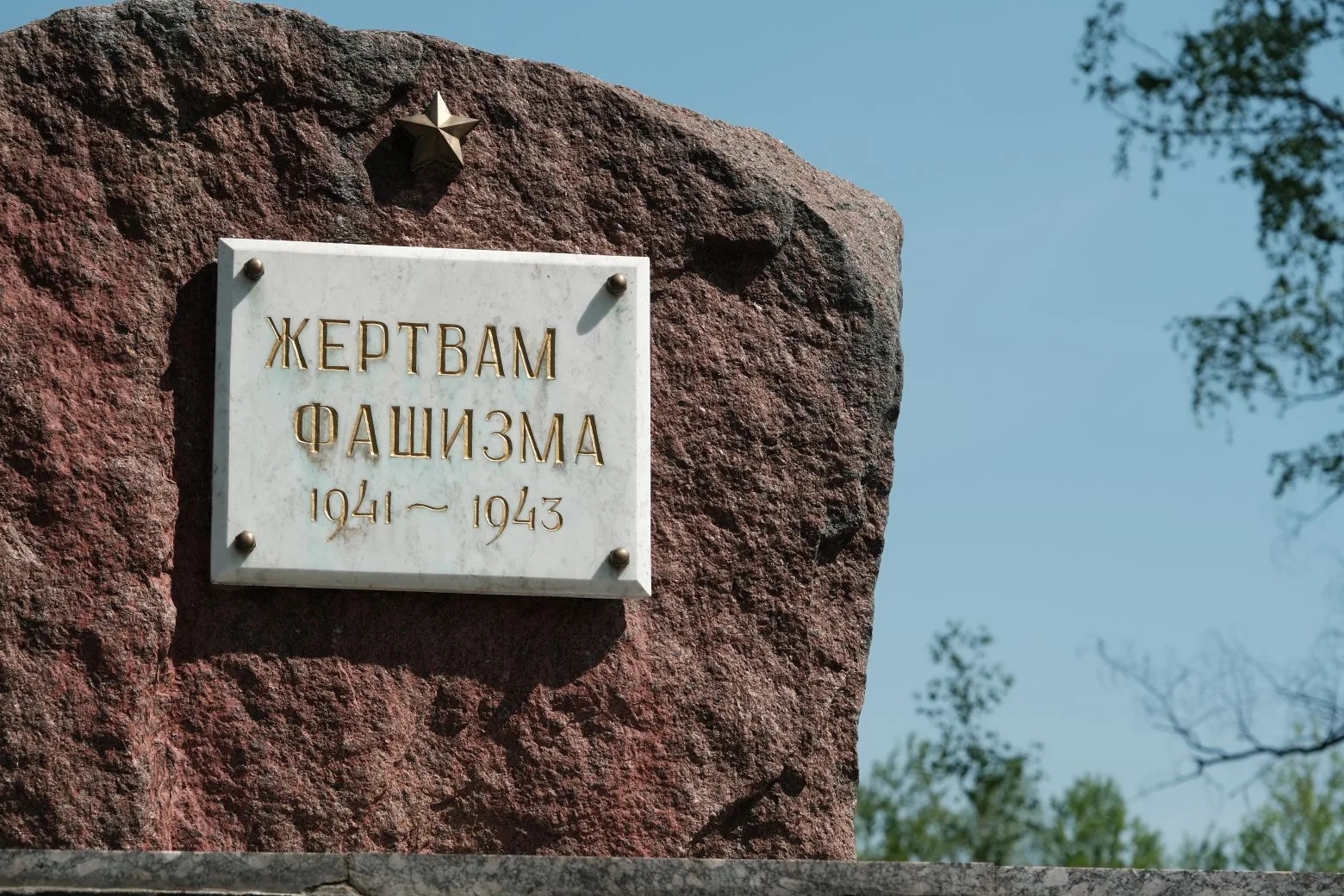Работники Брянского облсуда сделали уборку на территории «Дулага-142»