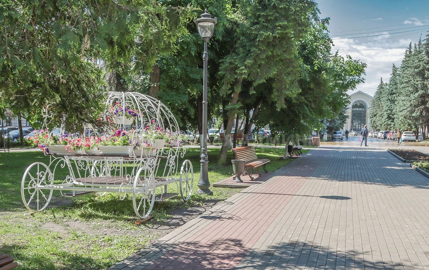 Цветочная инсталляция в форме кареты появилась в сквере Карла Маркса