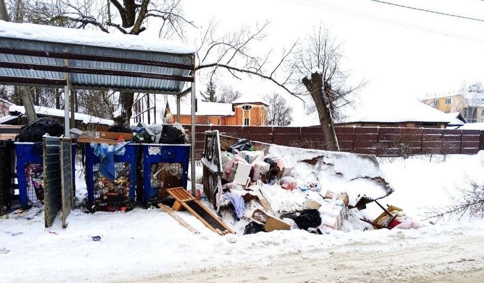 Работники Бежицкой райадминистрации и прокуратуры заглянули в мусорные контейнеры