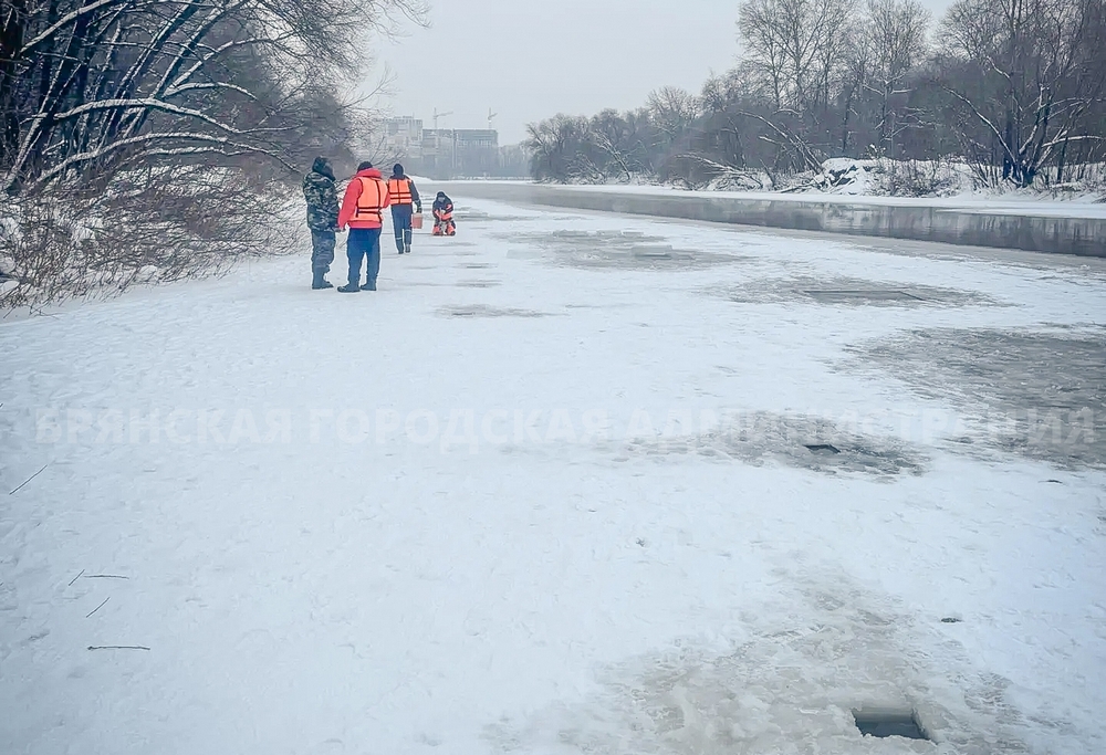 Бастрыкин запросил доклад о расследовании гибели 9-летних детей в Брянске