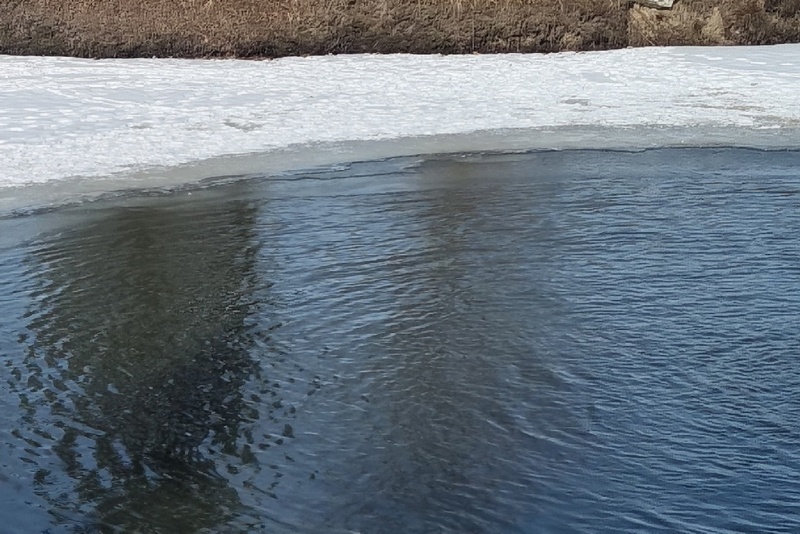 На Десне в Бежицком районе Брянска подростки устроили опасные игры