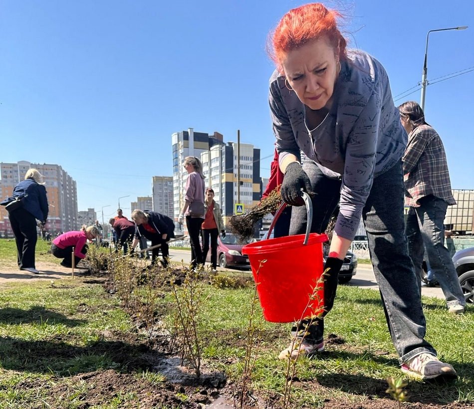 «Брянск зеленый». В областном центре за год посадили 2 000 деревьев