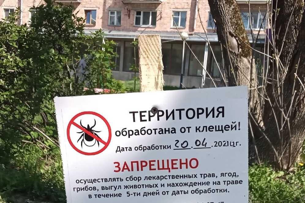 Брянцев предупредили о проснувшихся клещах