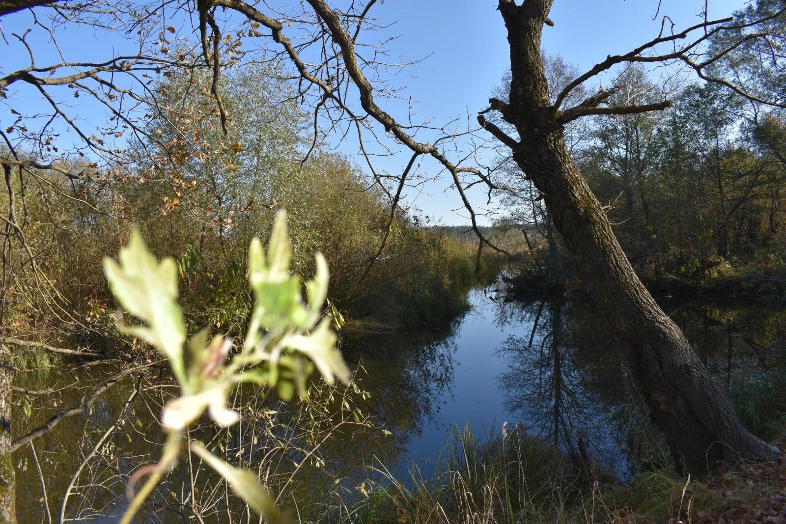 Жителям Брянской области пообещали очень теплый апрель
