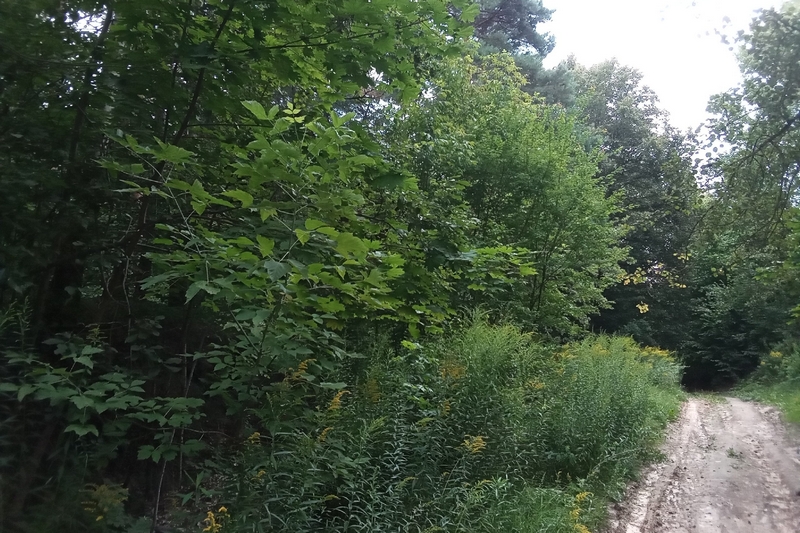 На Брянщине 6 апреля стартует пожароопасный сезон