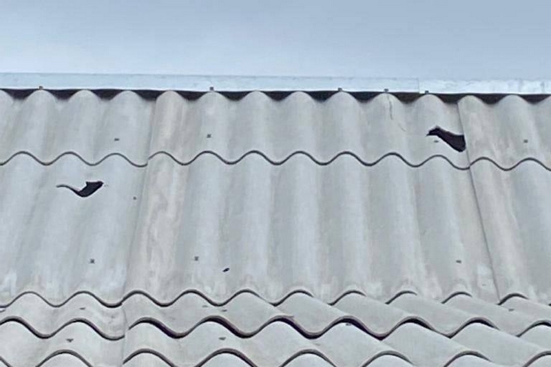 В Брянской области под прицелом ВСУ оказались два агропромышленных предприятия