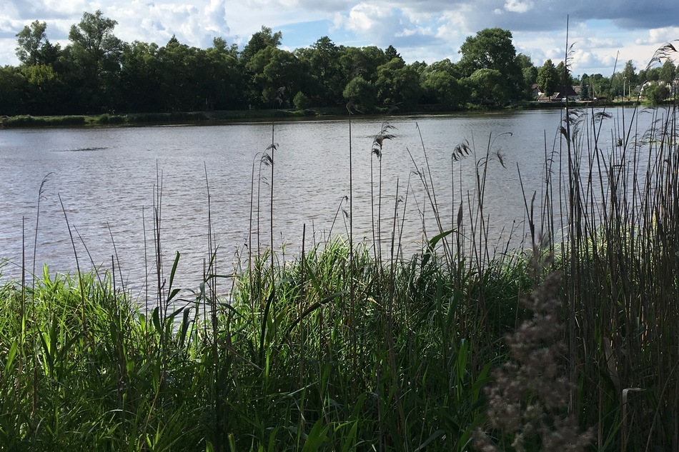 В Брянской области с 1 апреля введут ограничения на рыбалку