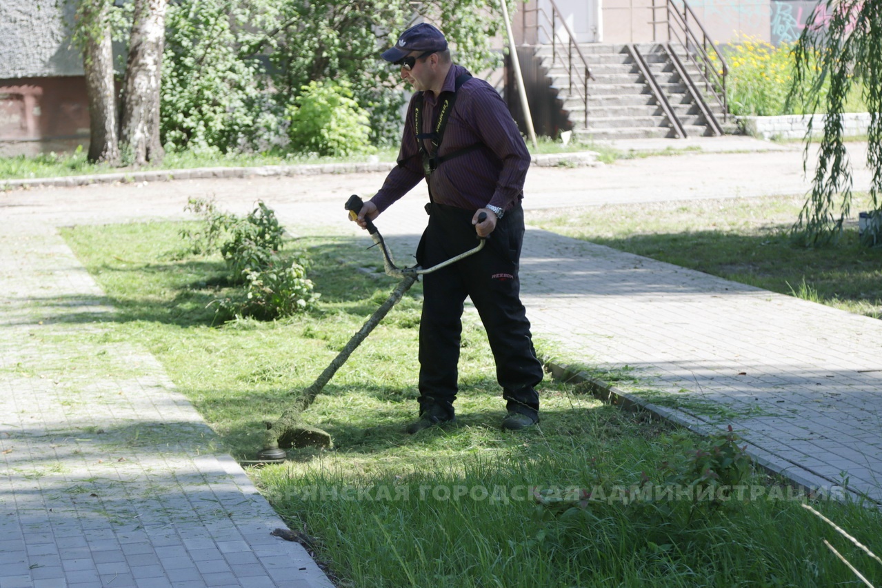 В Брянске за день скосили почти 84 тысячи квадратных метров травы