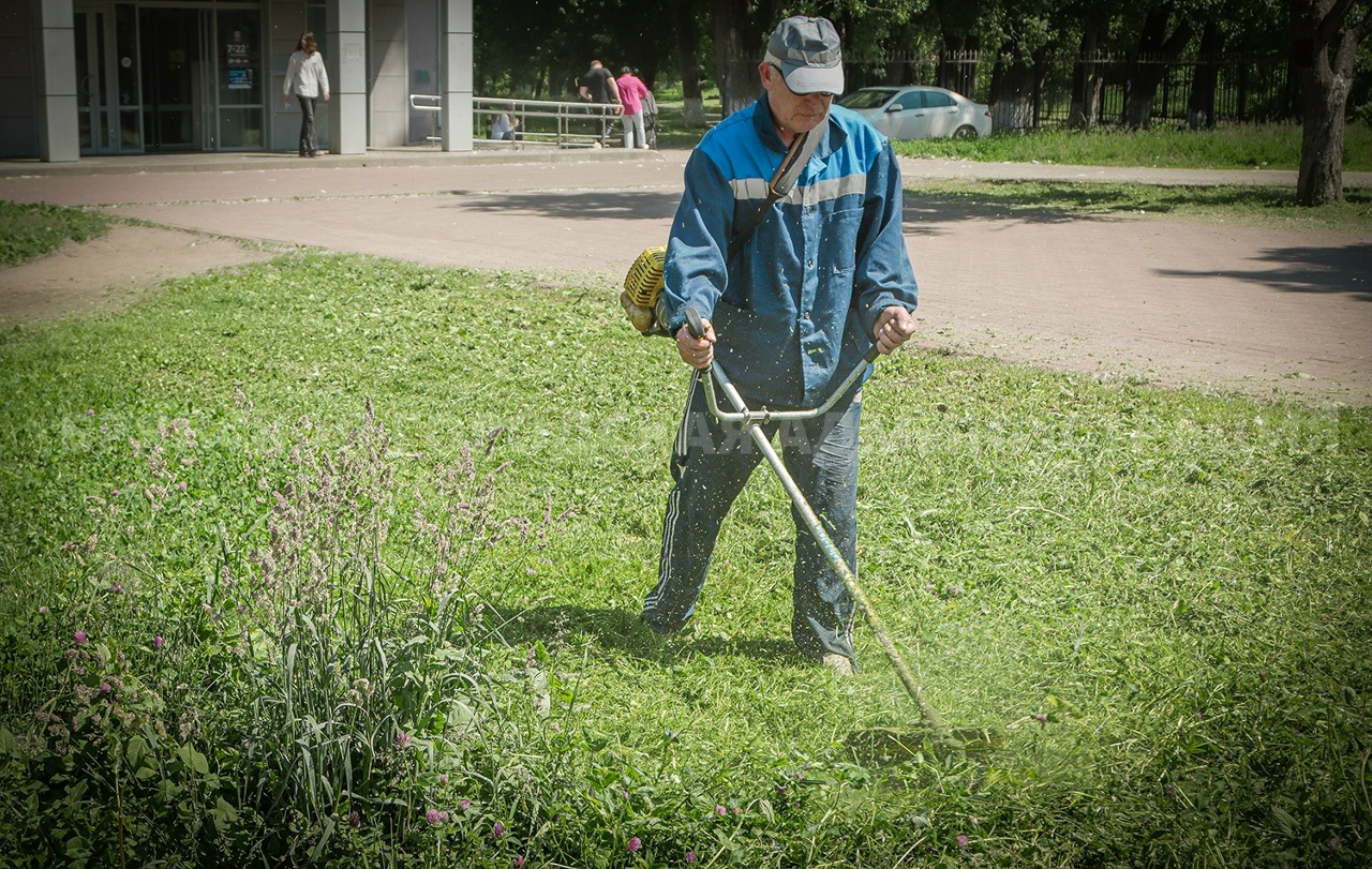 В Брянске продолжают косить траву в парках и на улицах