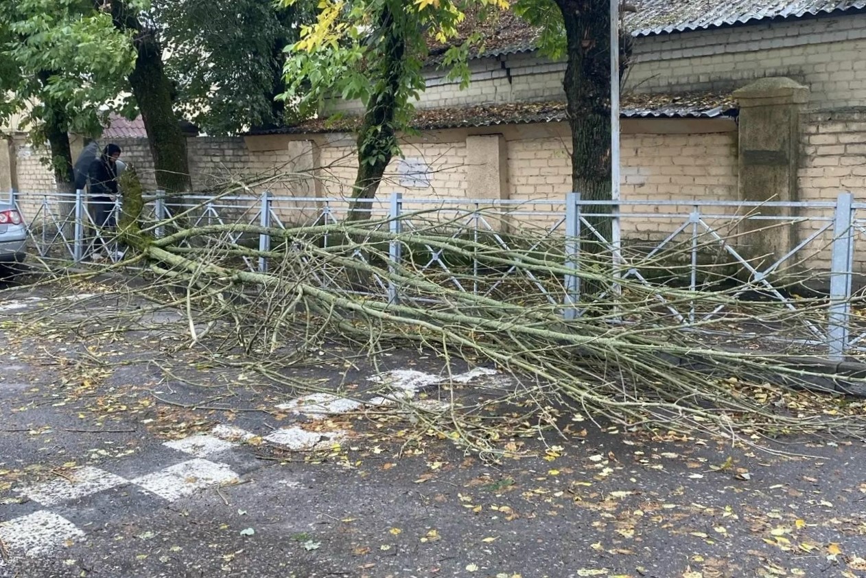Шквальный ветер повредил пять автомобилей в Брянске