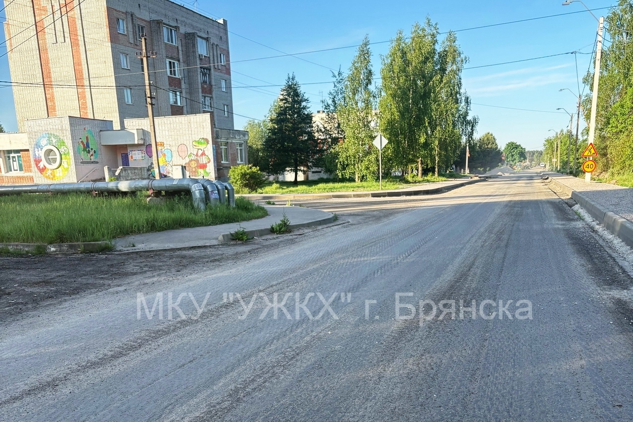 Жителям Брянска станет удобнее добираться до пляжа Орлик