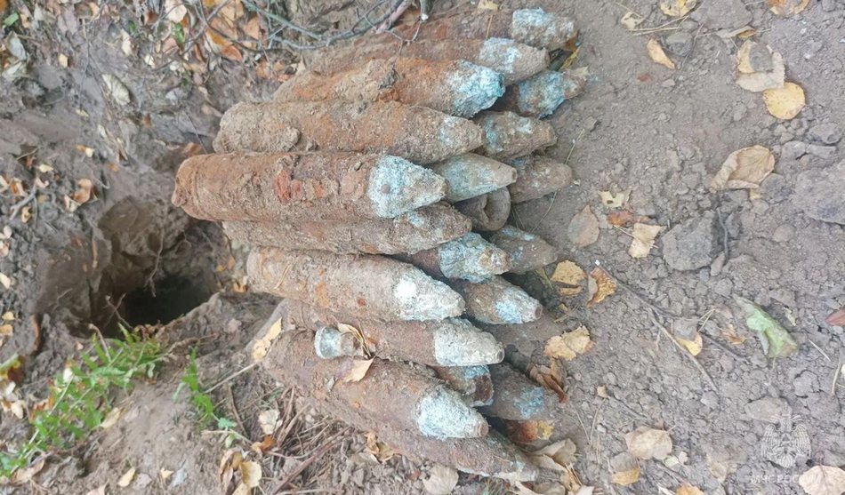 В Брянской области во вторник предотвратили 24 взрыва