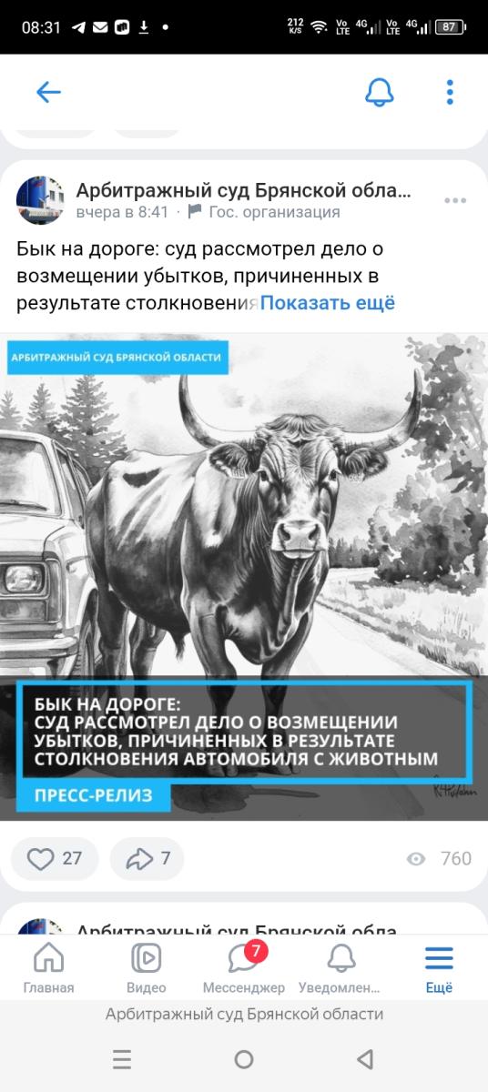 Бык на дороге стал причиной судебного разбирательства