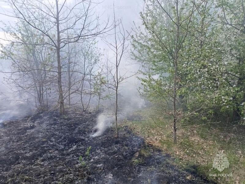 МЧС справилось с пожаром под Клинцами, охватившим 0,8 Га площади