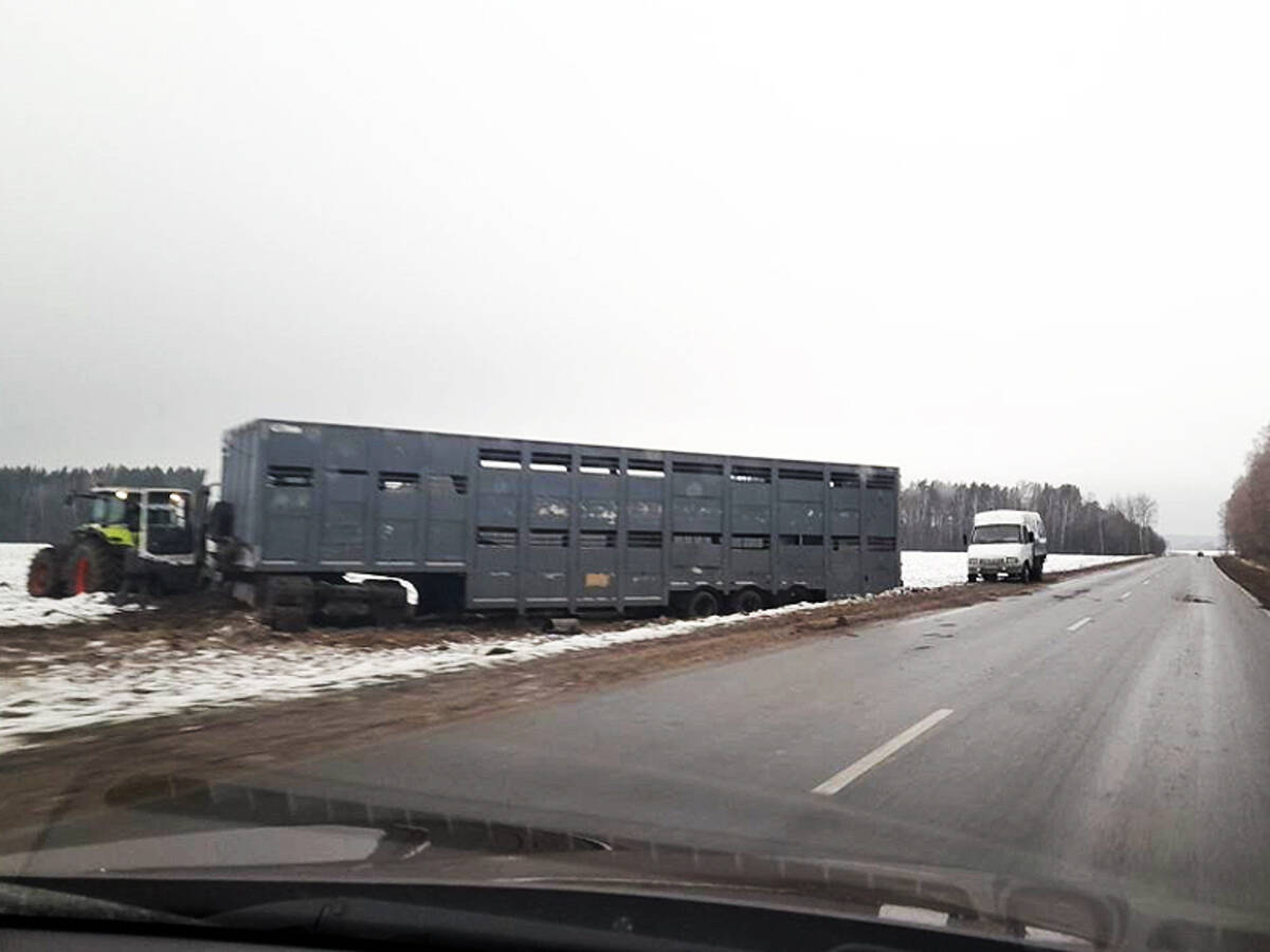 В районе поселка Локоть фура вылетела за пределы проезжей части