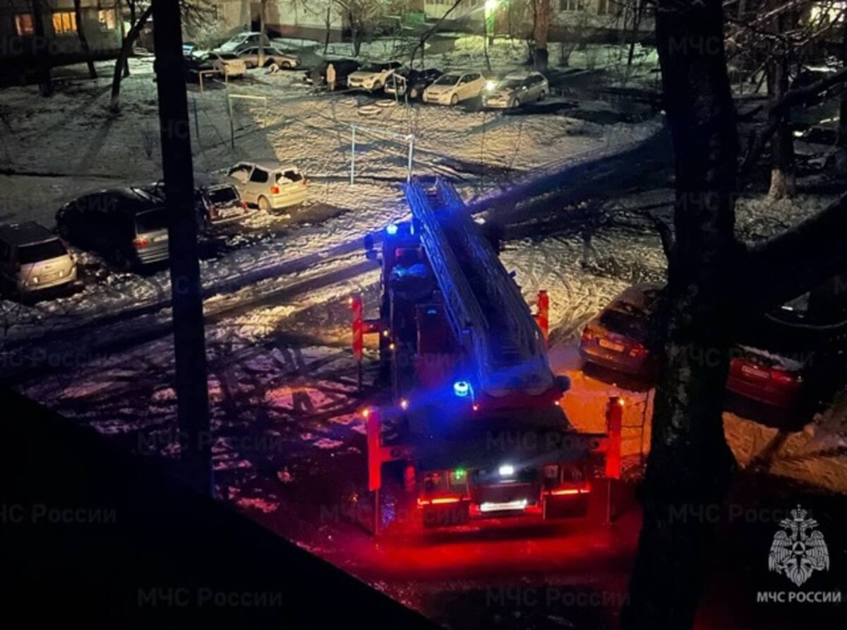 В Брянске при пожаре на Московском проспекте погибли внук и бабушка