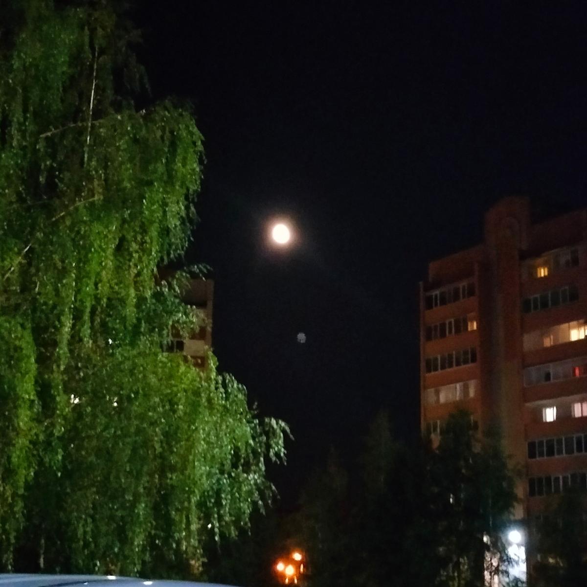 Жители Брянской области смогут наблюдать "оленью Луну" в ночь на 21 июля