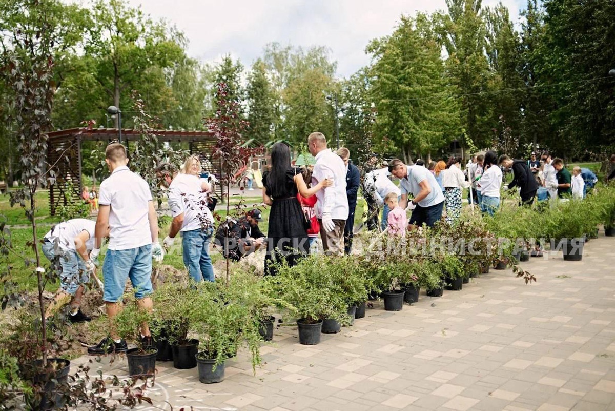 В Майском парке Брянска появилось много яблонь и кустарников